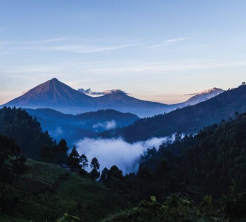 bwindi gorilla safari