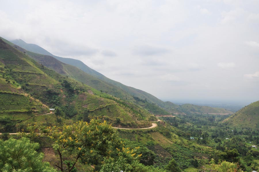 rwenzori-mountains-national-park Rwenzori Mountains