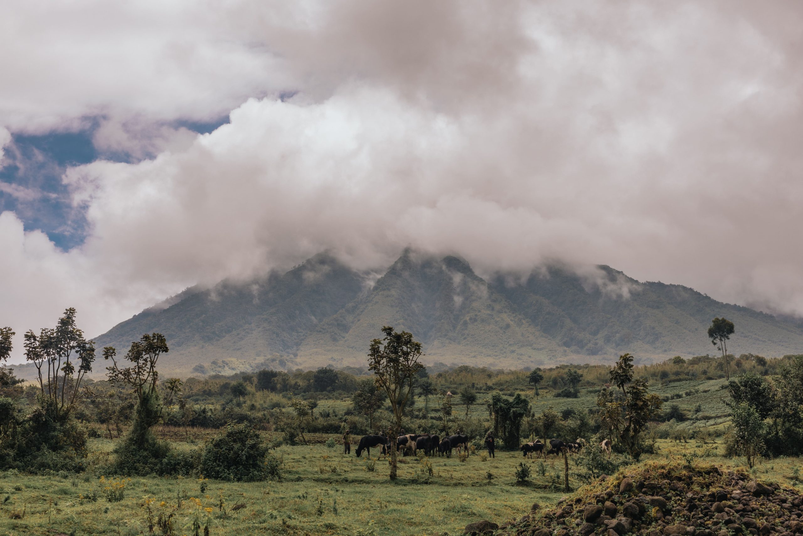 things to do in Rwanda