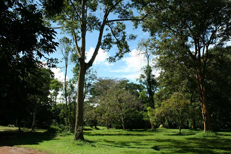 Entebbe - Botanical Gardens