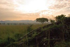 Kidepo Valley National Park