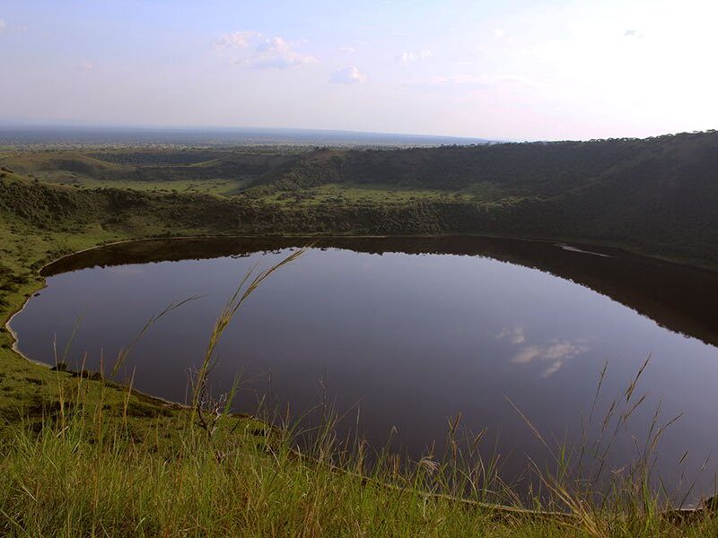 uganda safari tours