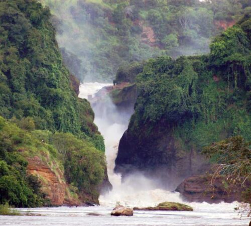 Murchison safari tours Uganda