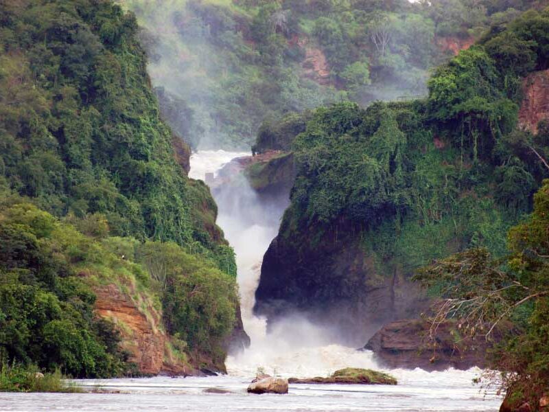 Murchison safari tours Uganda