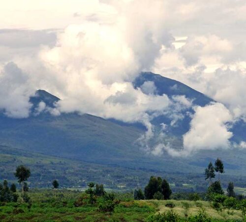 rwanda gorilla trekking