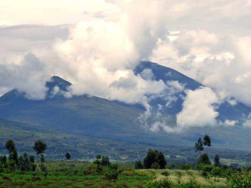 rwanda gorilla trekking