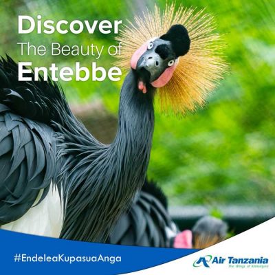 Air Tanzania Entebbe Uganda