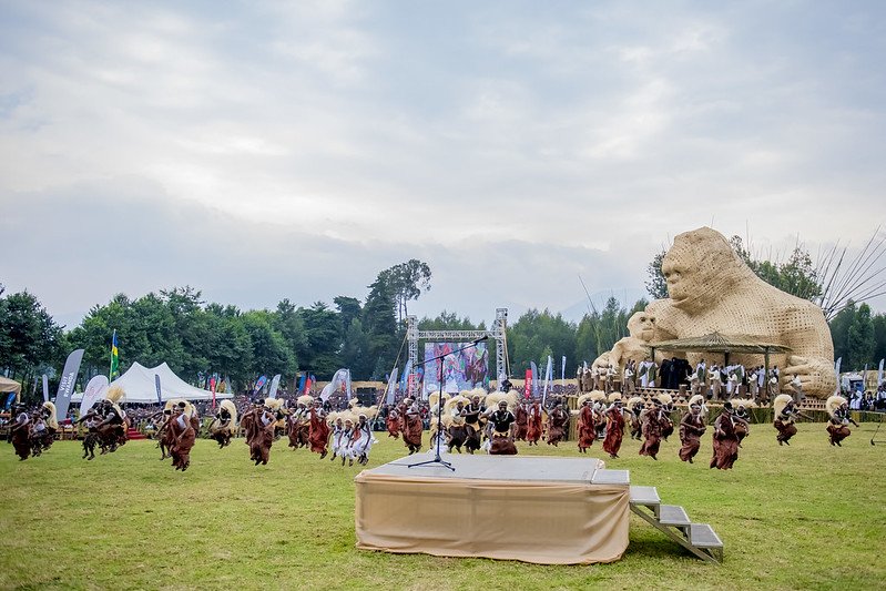 rwanda gorilla naming