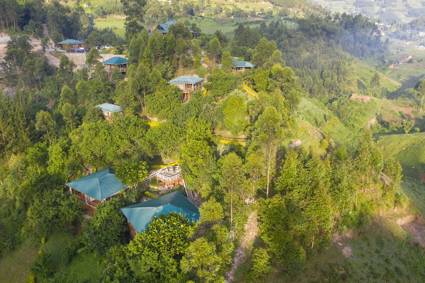 accommodation in bwindi forest