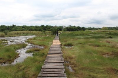 hot springs in uganda