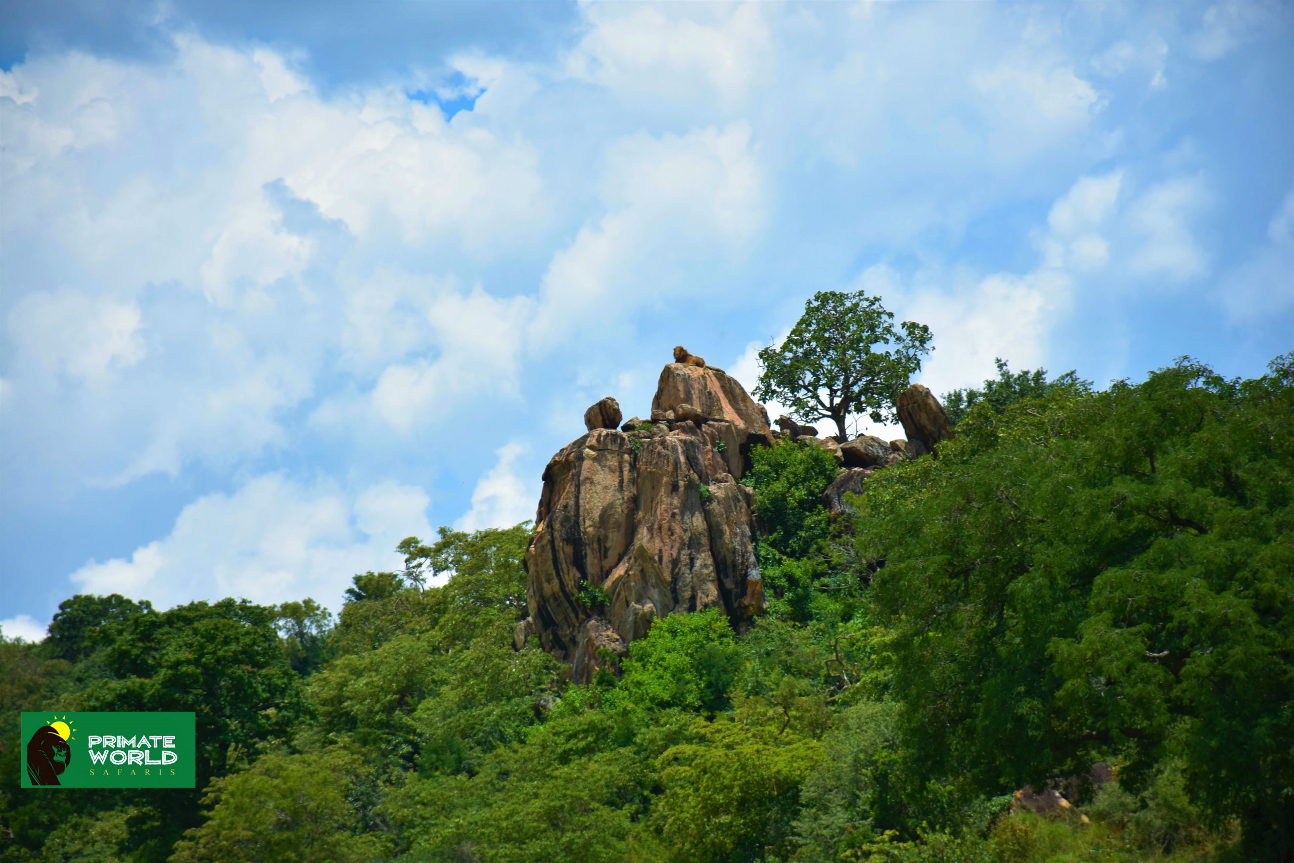 Kidepo safari