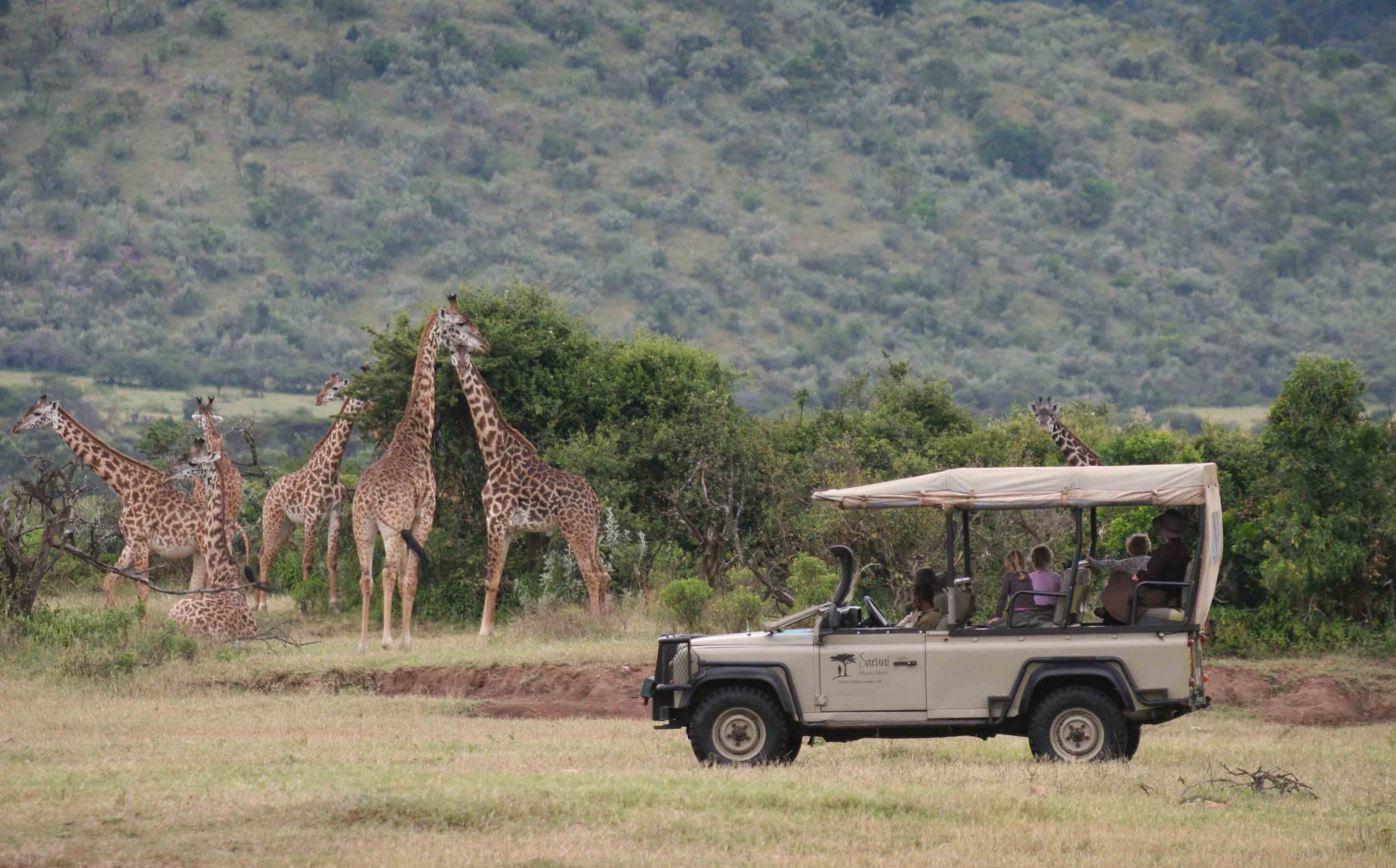 Family-game-drives kenya safaris