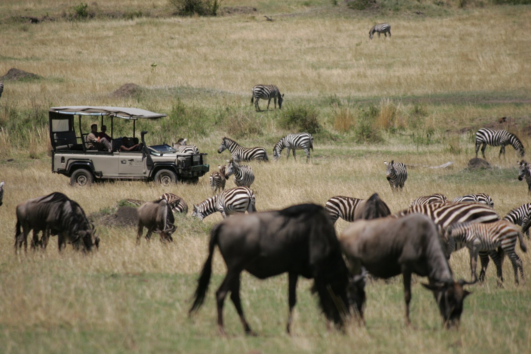 kenya safaris