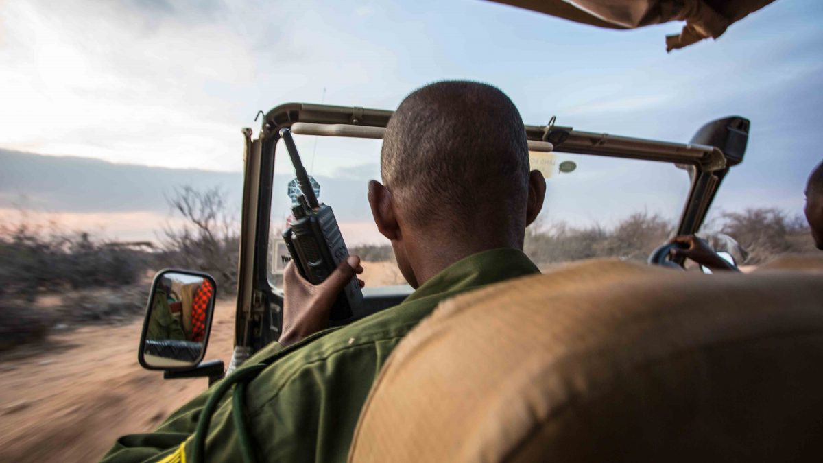 rhino tracking in kenya