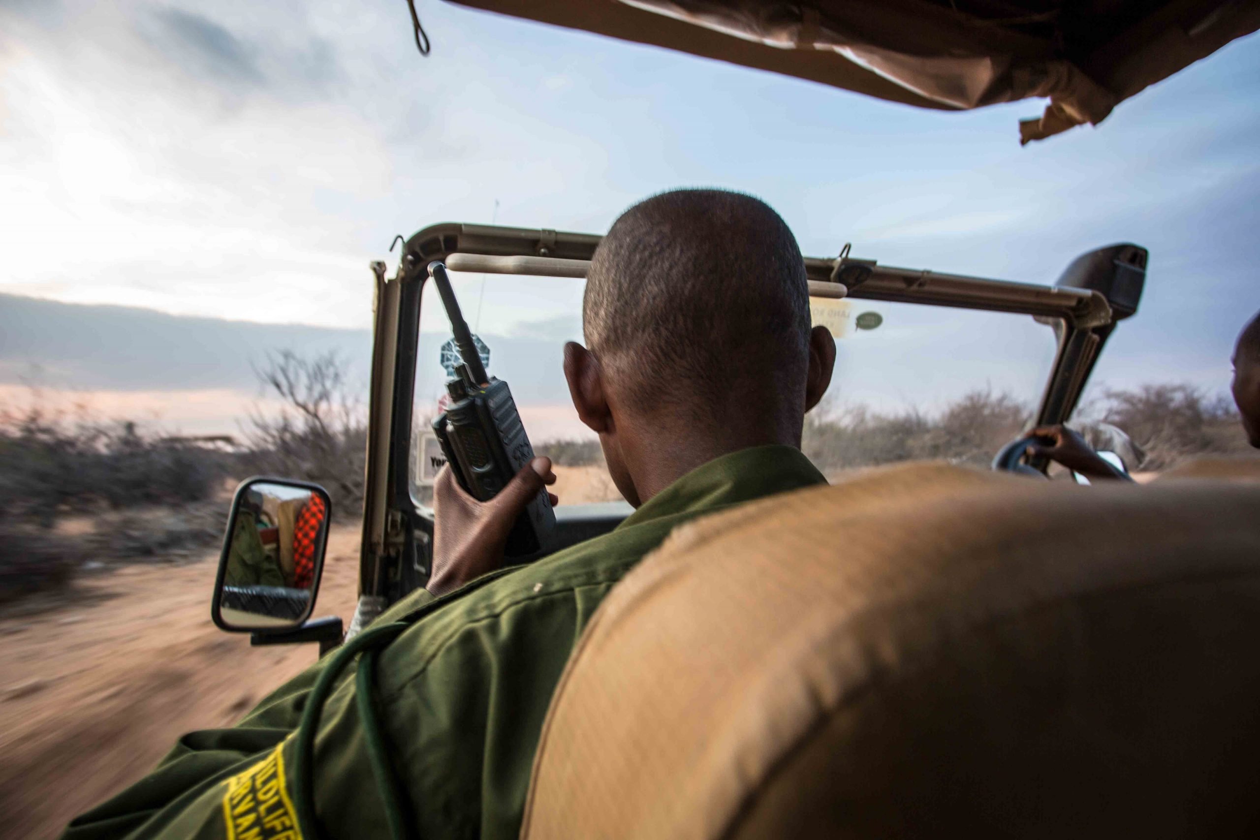 rhino tracking in kenya