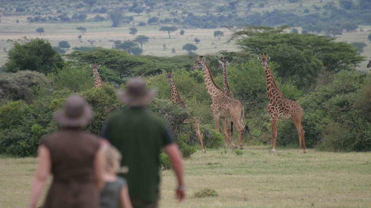 kenya family safari