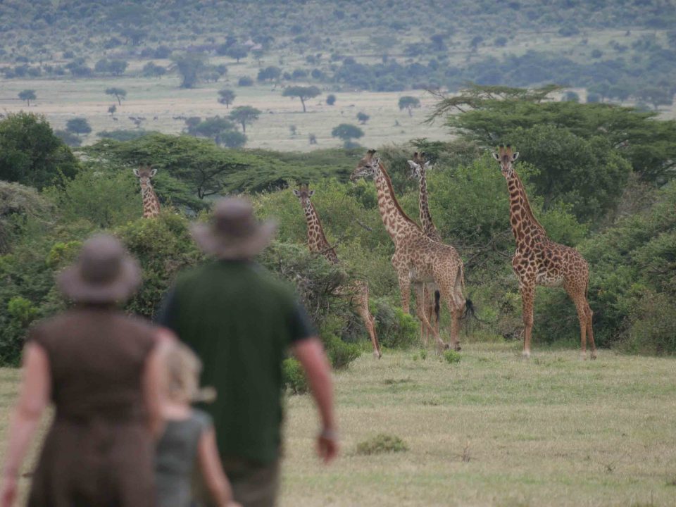 kenya family safari