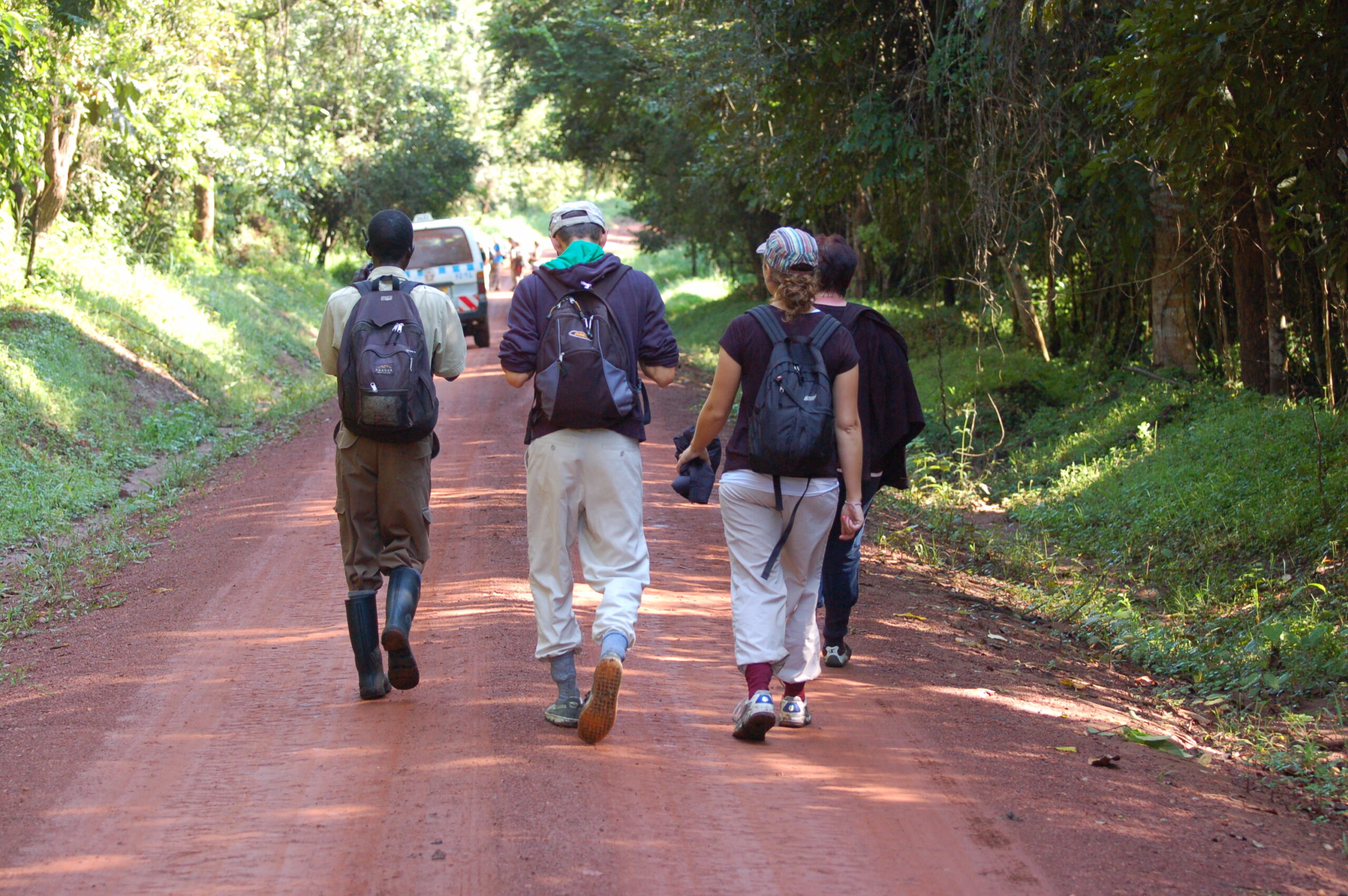 4-Day Uganda Gorilla Trekking