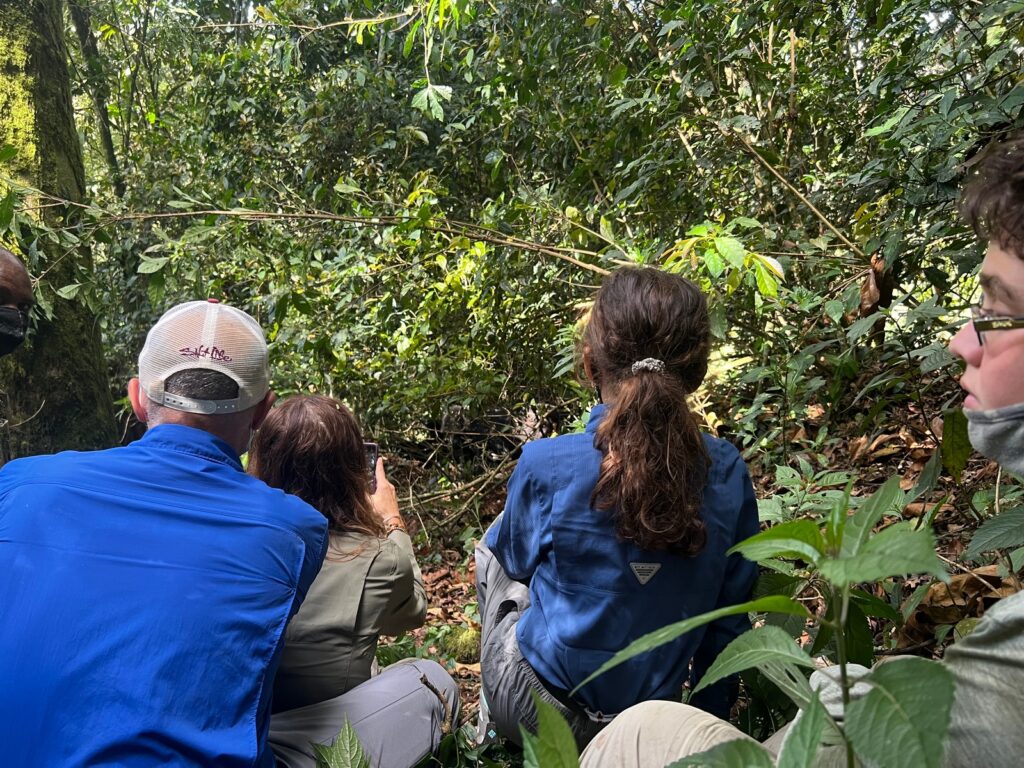 Are There Health Risks Associated with Gorilla Trekking?