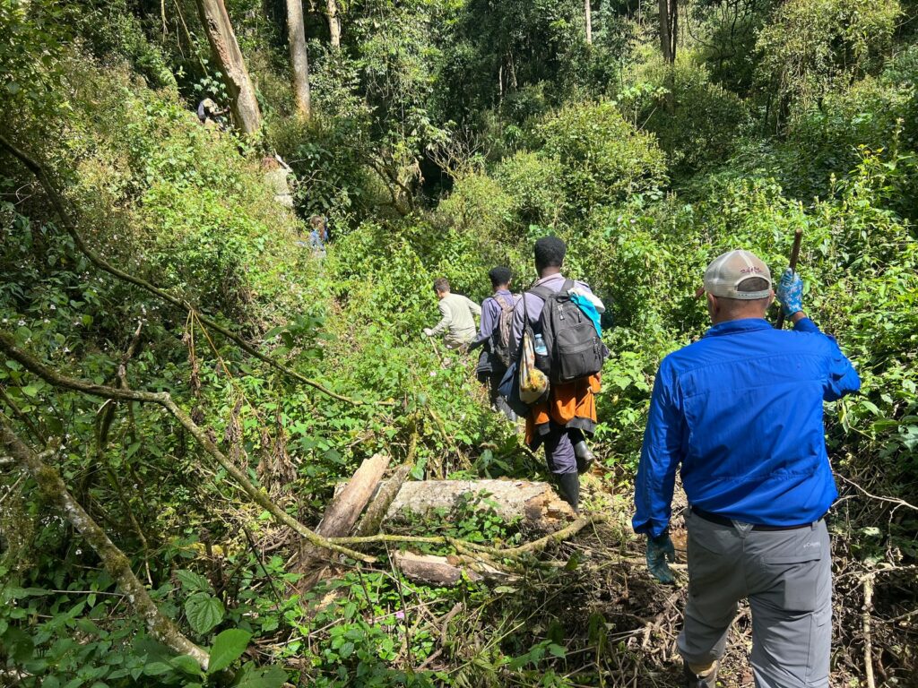 4 Days Double Gorilla Trekking Safari