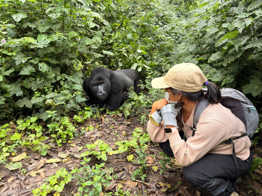 Best Month to Visit Uganda