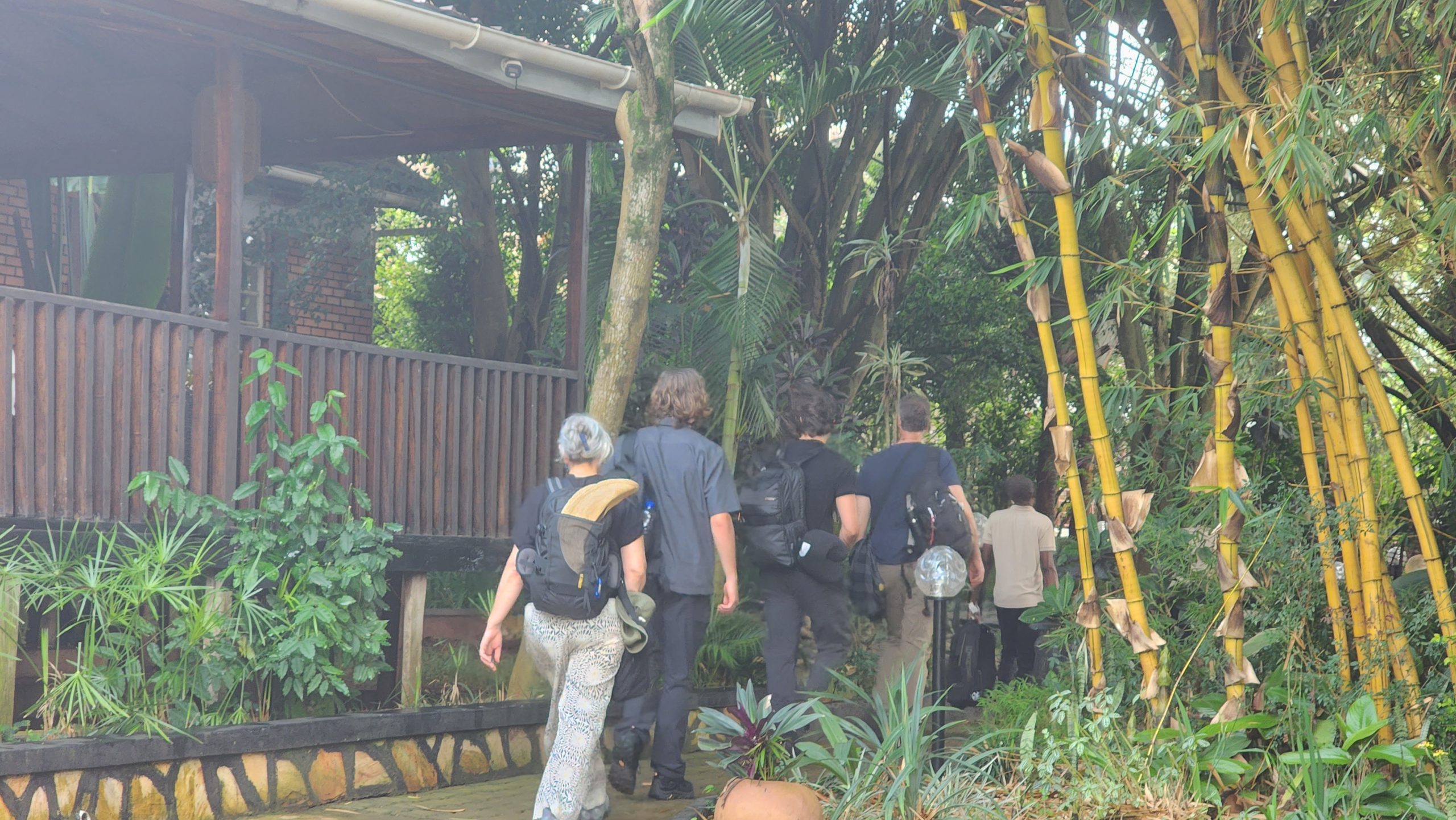 Upscale family safari
